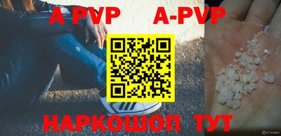 гашик Будённовск
