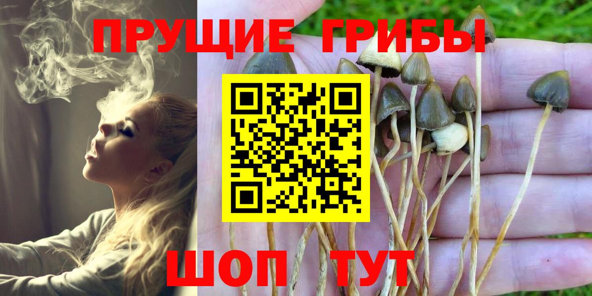 Сарапул  Галлюциногенные грибы Magic Shrooms  Вход с VPN 