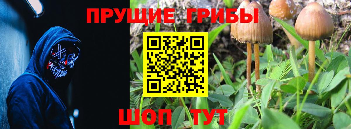 Псилоцибиновые грибы ЛСД Сарапул